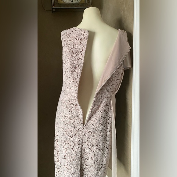 Ann Taylor Beige Knee Length Dress Lace With Partial Sheer Panel Women's Size 10 - Picture 5 of 14